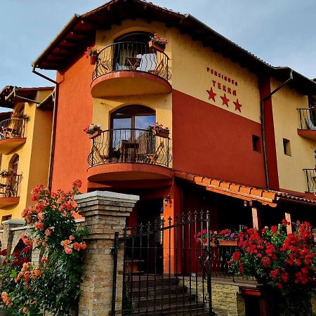 Pension Terra Алба-Юлія Екстер'єр фото